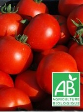 Tomate ronde grappe Bio France- 500g