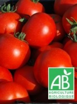 Tomate ronde grappe Bio France- 500g