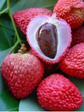 Litchis Bio de Madagascar -250g (mûrs, avion)